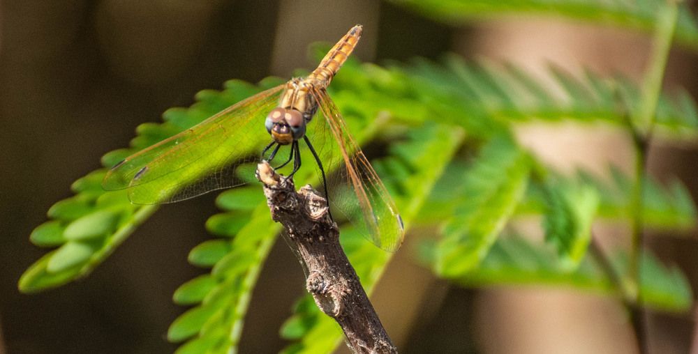 Photograph by islam elsayed eldaramlly