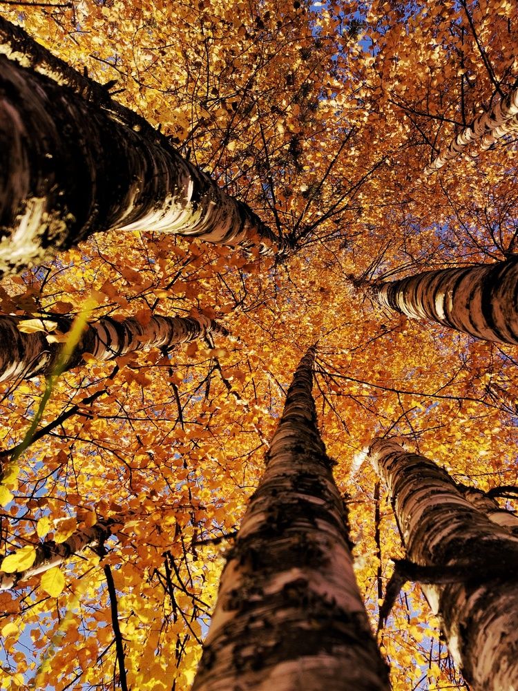 Photograph by Мария Тёмкина