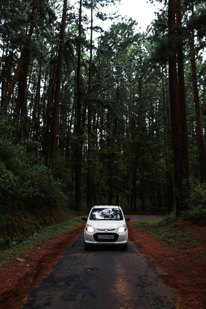 Photograph by Kanishka Jeewantha