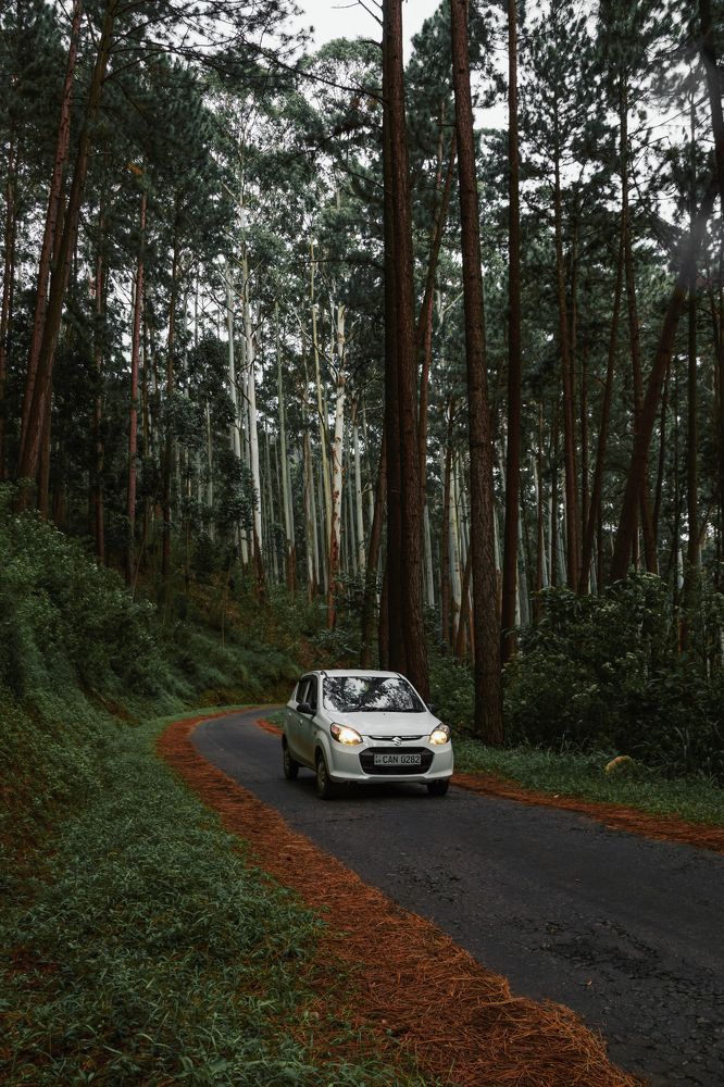 Photograph by Kanishka Jeewantha