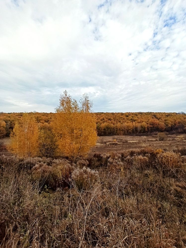 Photograph by Вера Родионова