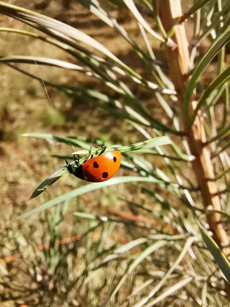 Photograph by Екатерина Слепнева