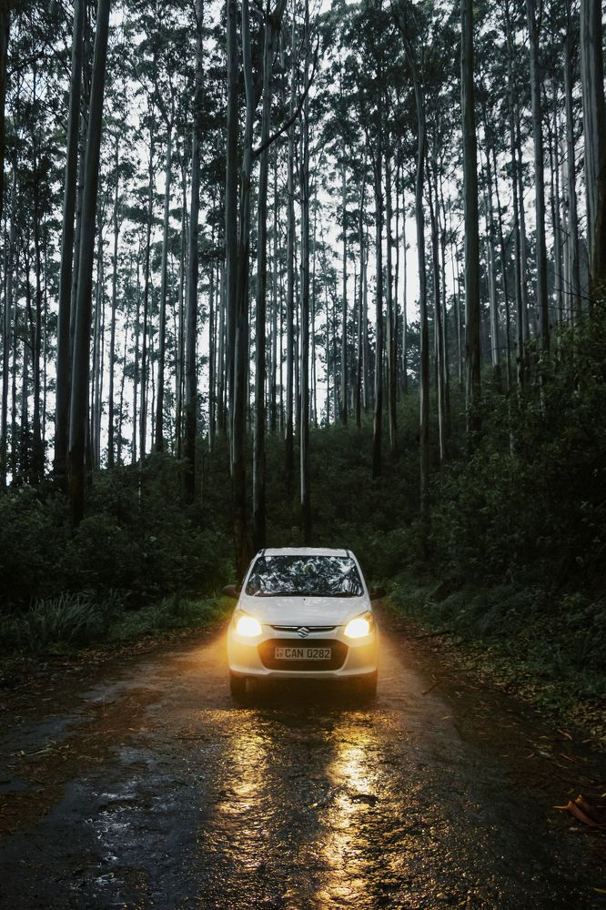 Photograph by Kanishka Jeewantha