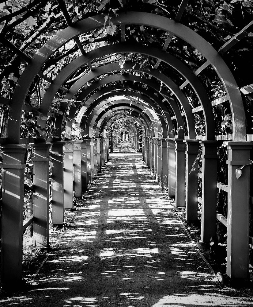 Photograph by Владимир Кривенко