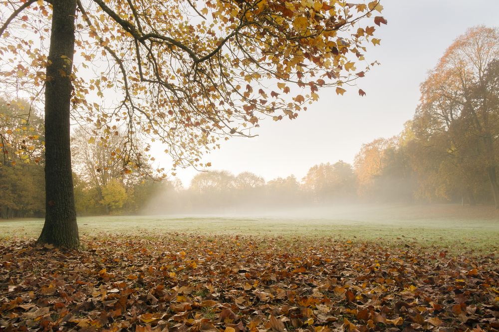 Photograph by Виктория Солодар