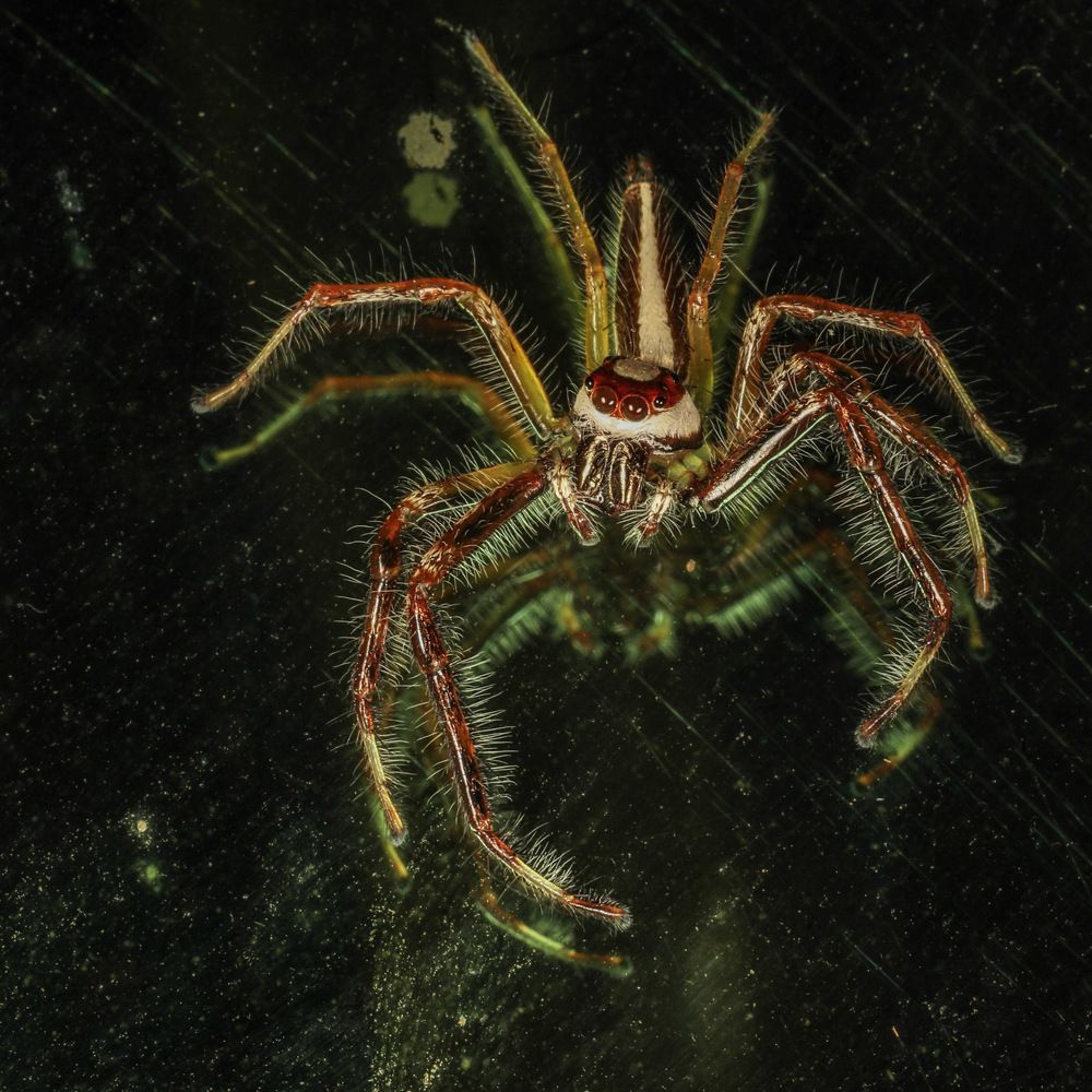 Photograph by Nilesh Tandel