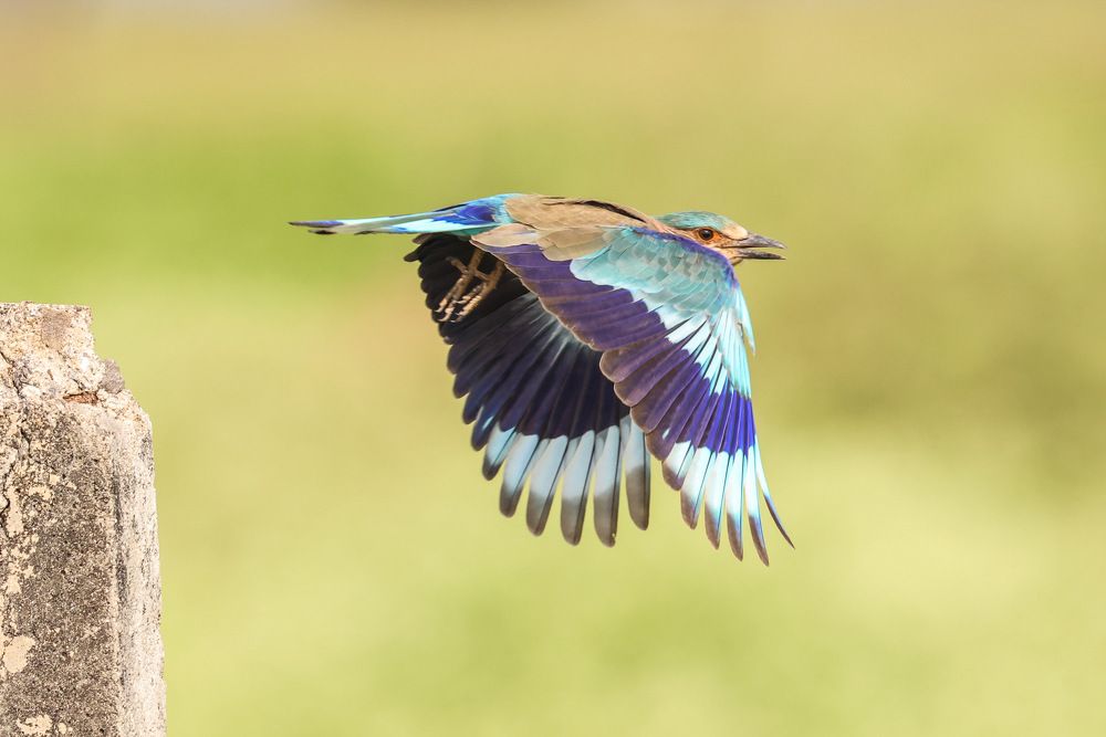 Photograph by Nilesh Tandel