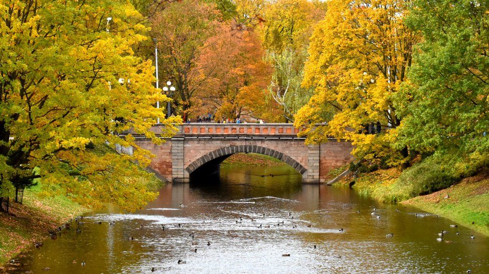 Осенний колорит / Autumn flavor