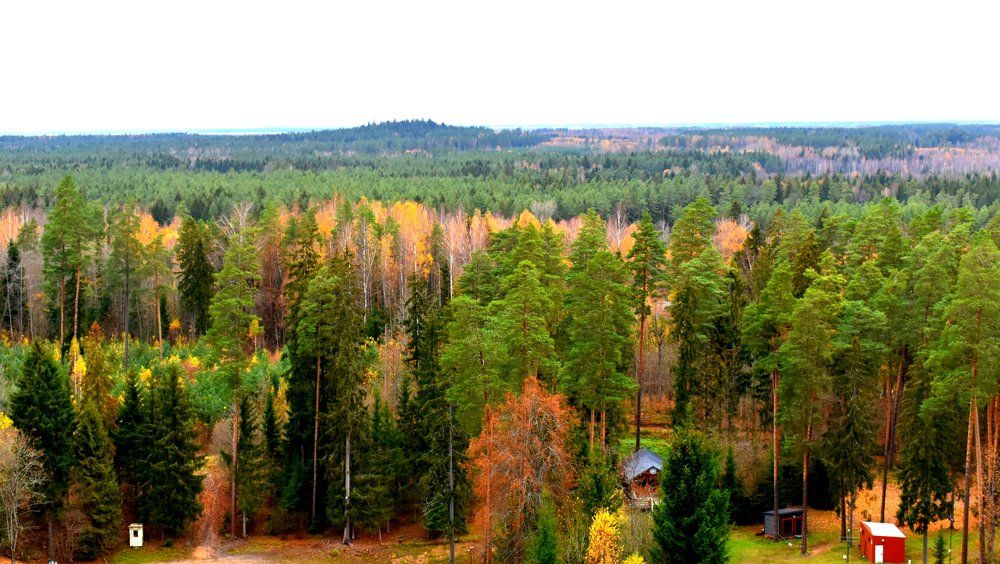 Осенний колорит / Autumn flavor