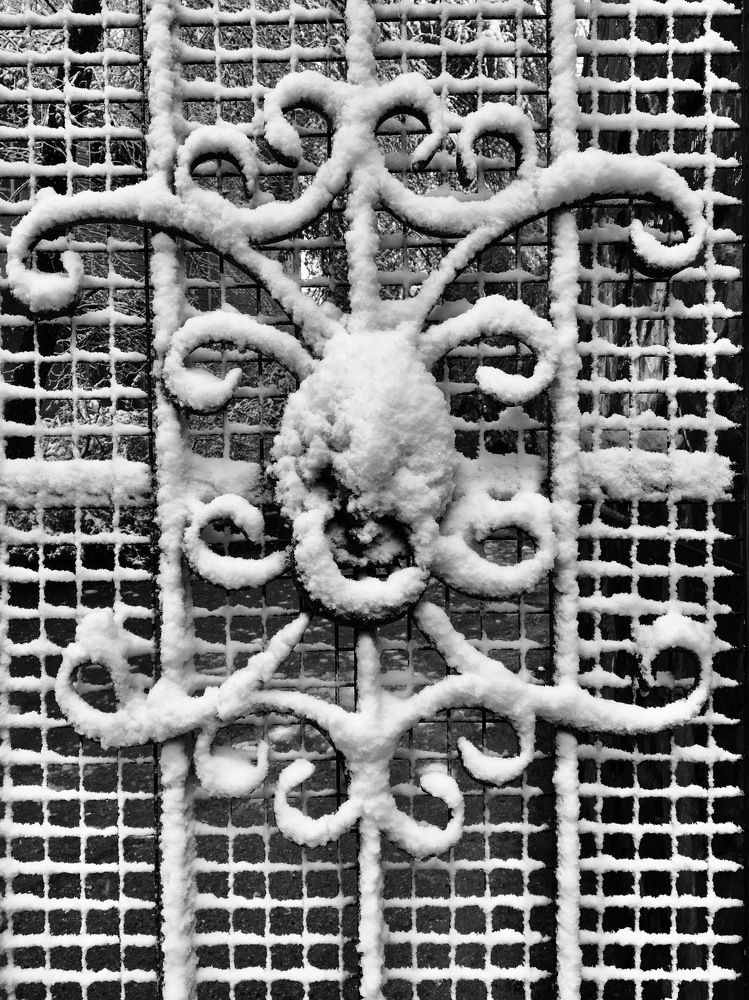 Photograph by Елена Ким