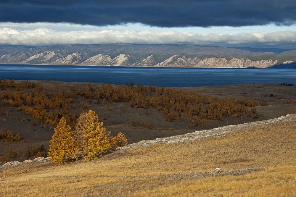 Радость бытия.