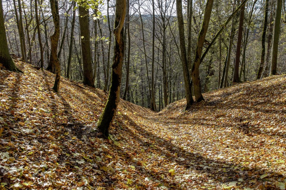 Photograph by Rolandas Valančauskas