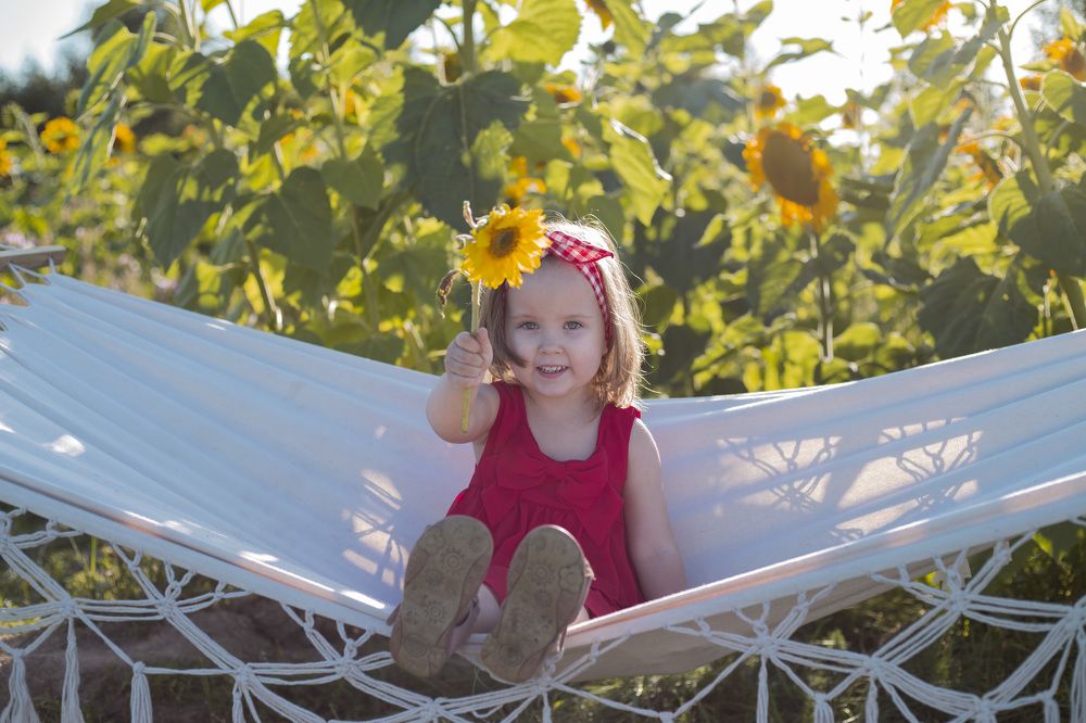 Лето в подсолнухах