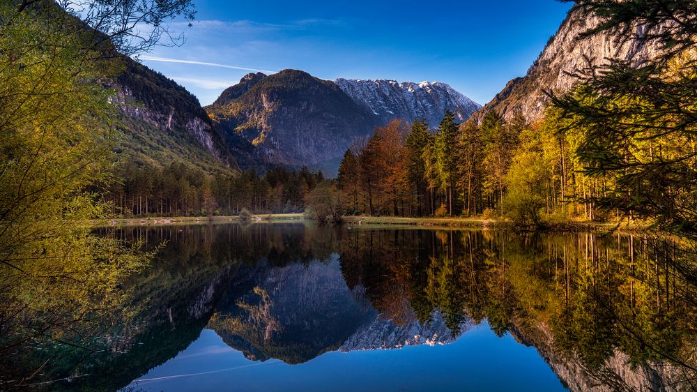 Фотография автора ROMAN Wieckowski