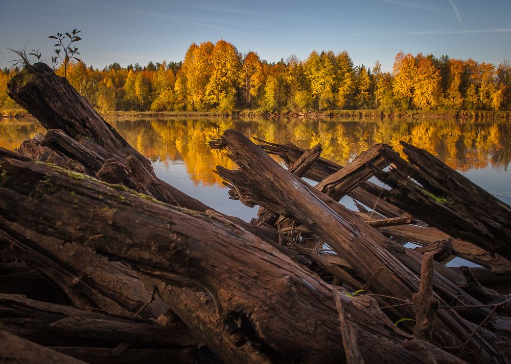 Photograph by Евгений Кузнецов