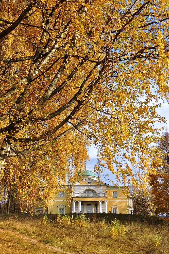 Золотая осень