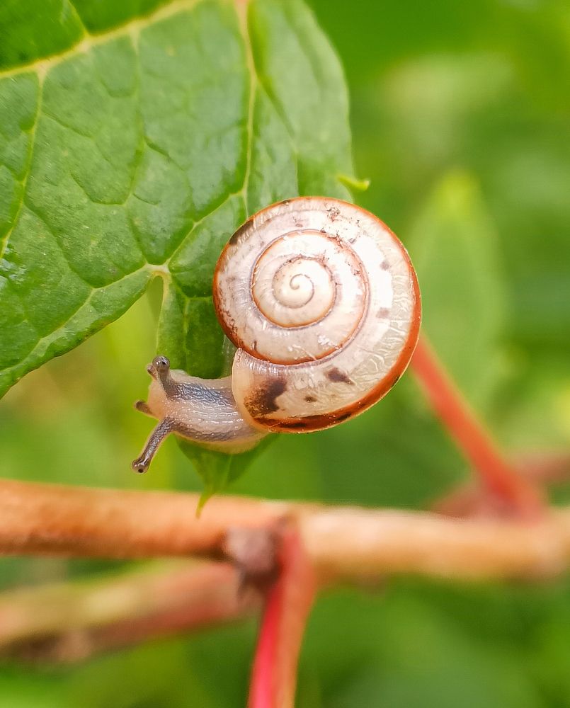 Photograph by Ольга Ситникова