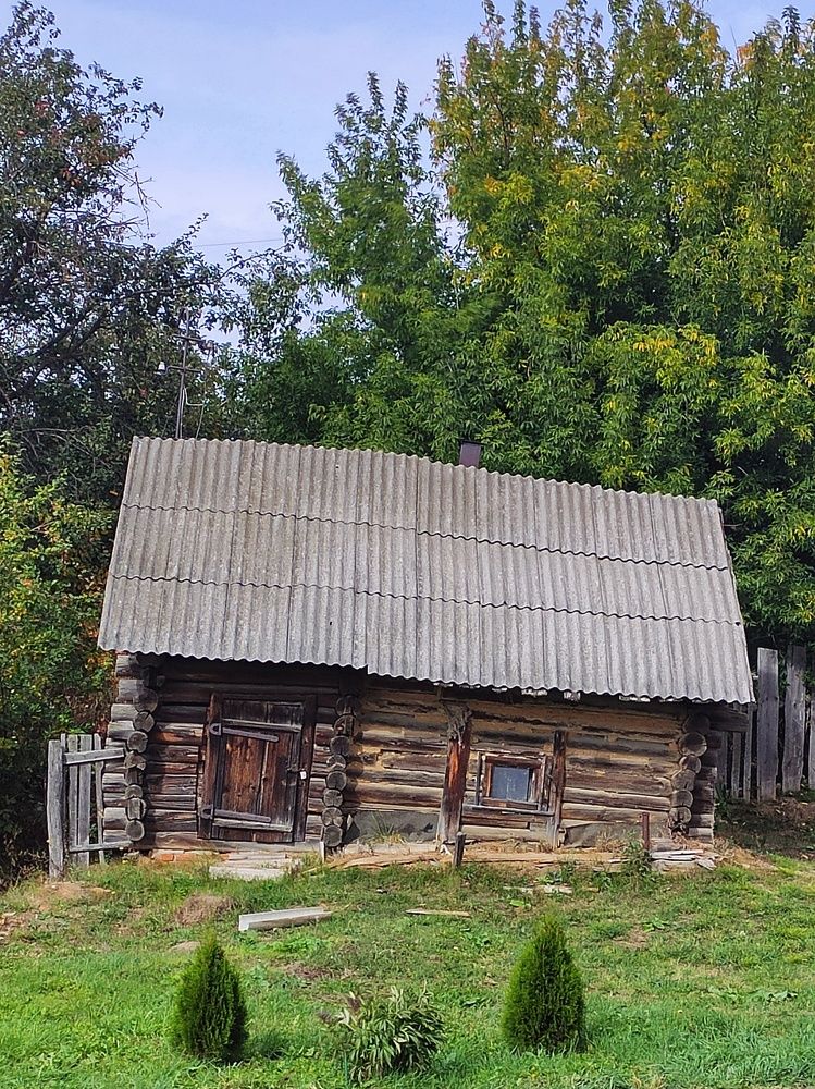 Photograph by Ксения