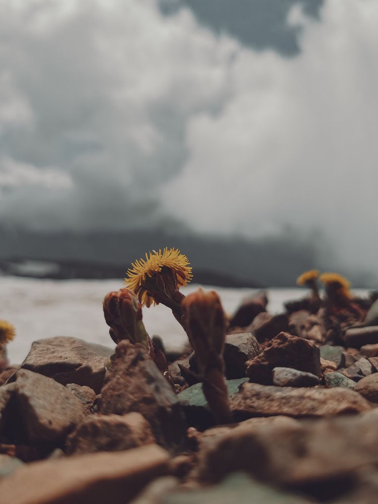 Жизнь на высоте 2320 метров