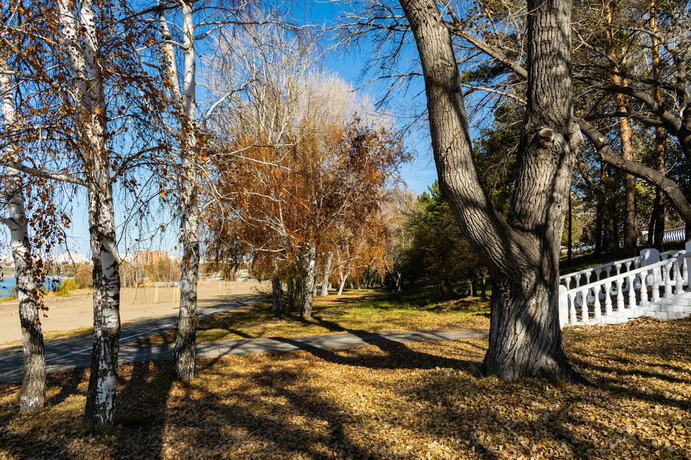 Фотография автора Денис Краснощеков