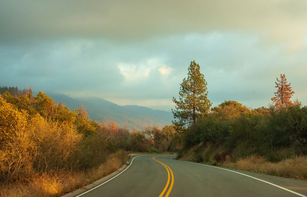 Photograph by Екатерина Мосолова