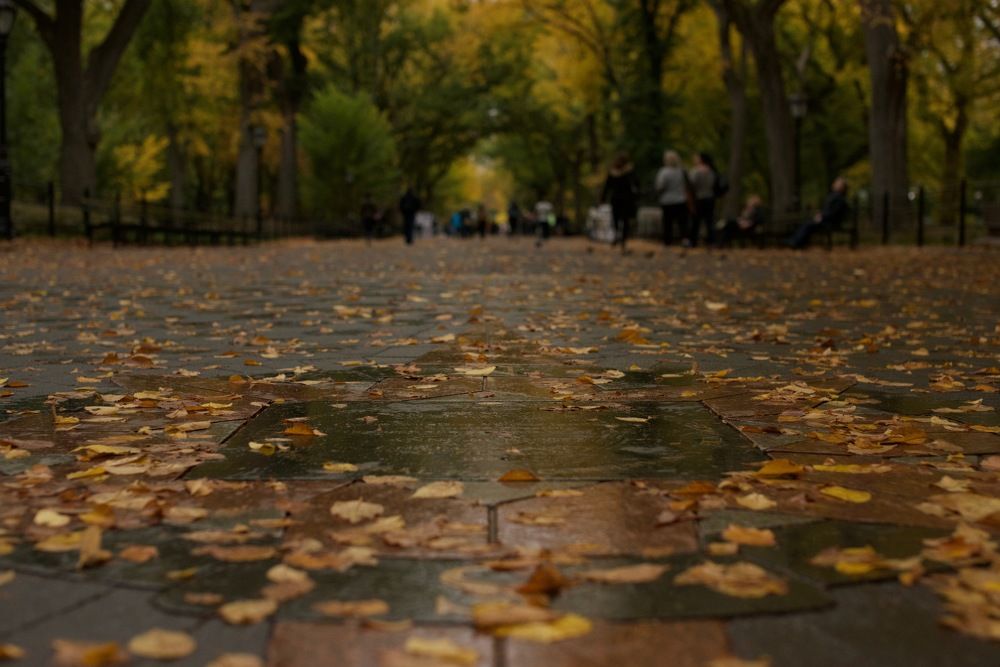 Photograph by Екатерина Мосолова