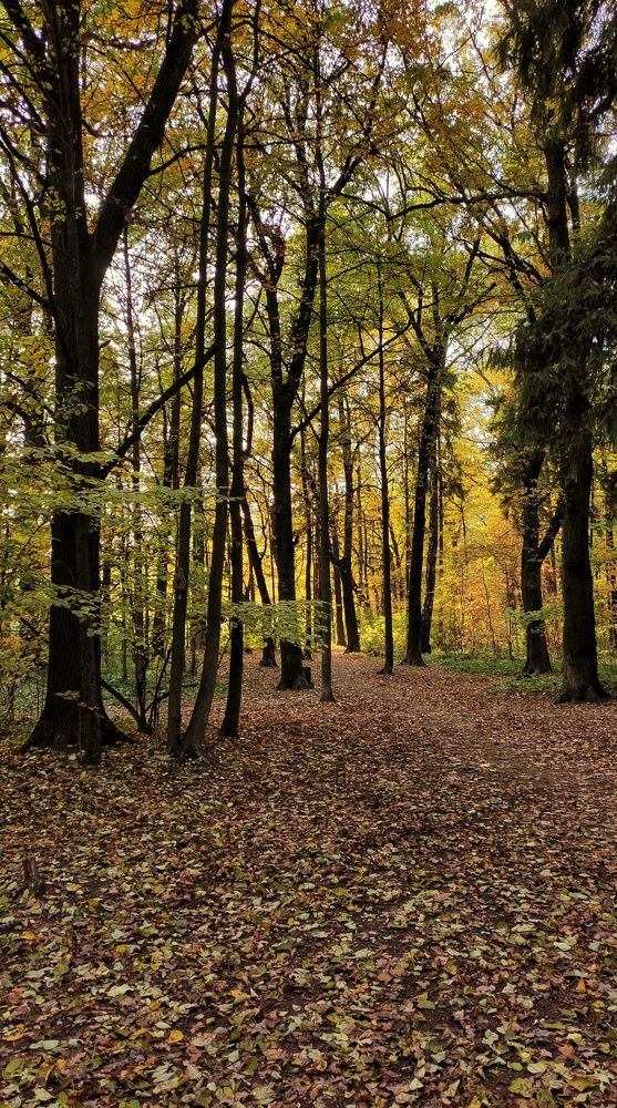 Photograph by Ксения