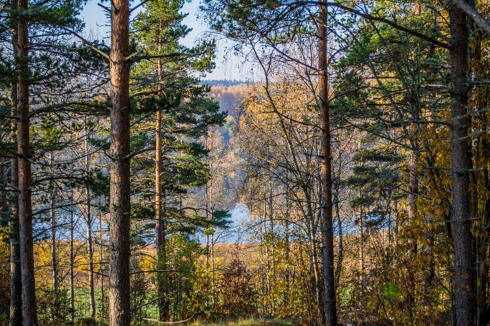 Photograph by Илья Марихин