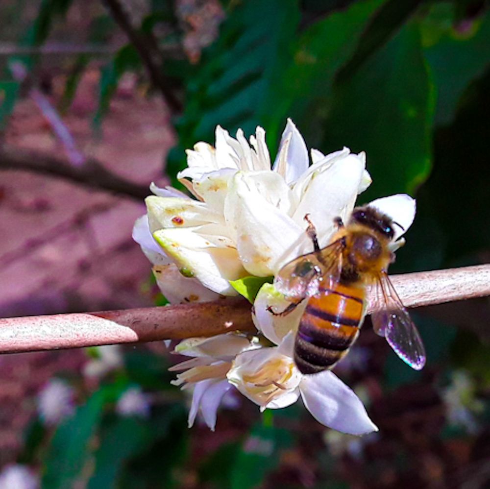 Photograph by Irán Perdomo Hernández