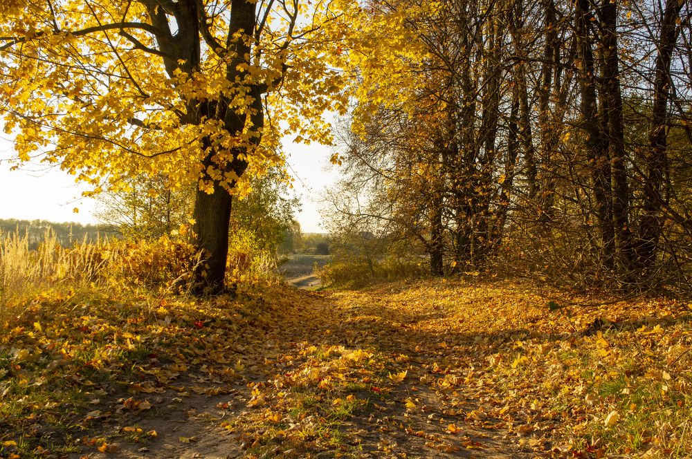 Photograph by Павел Минкевич