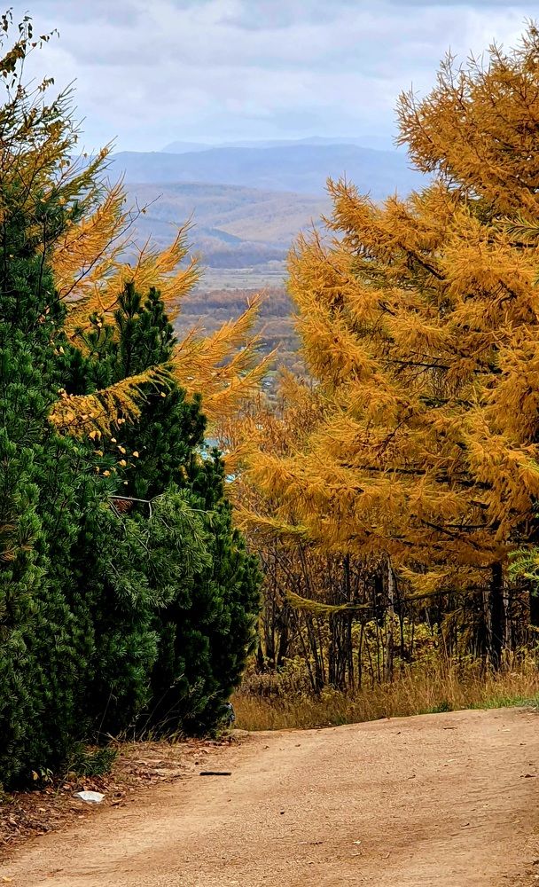 Photograph by Наталья Налобина