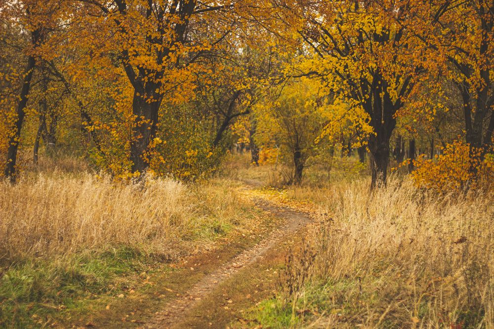 Photograph by Наталья Исиченко