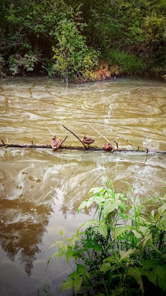 Photograph by Ольга Пономарева