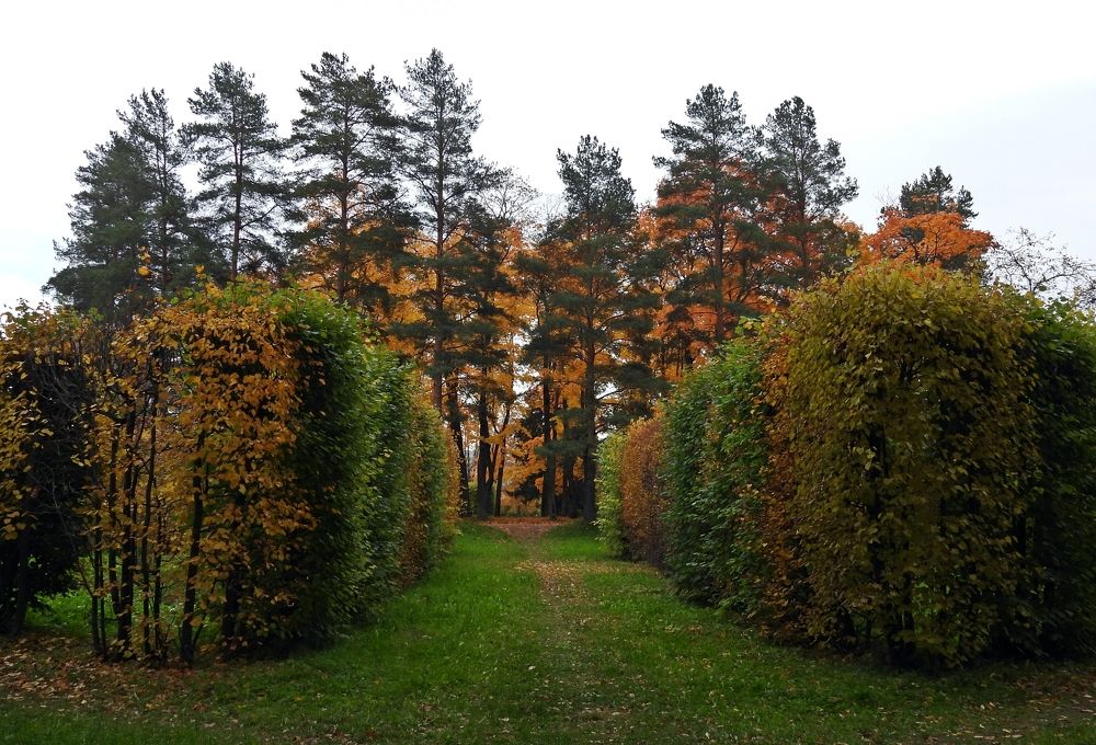 Photograph by Аркадий Попов