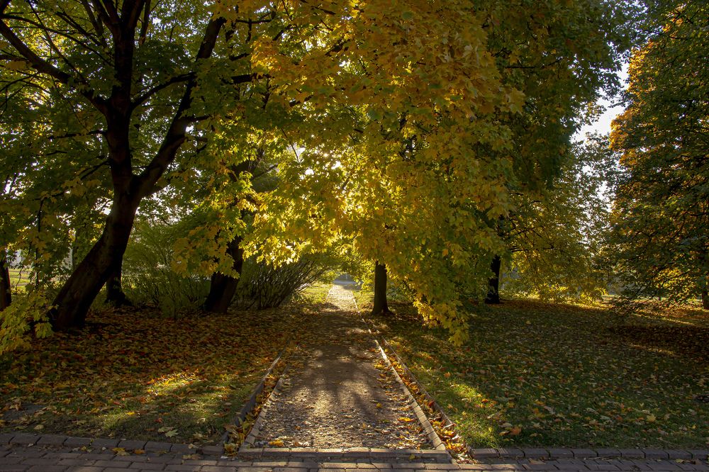 Photograph by Игорь Егоров