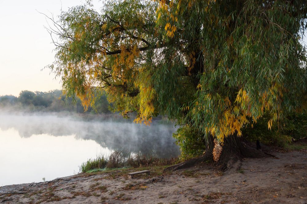 Фотография автора Валерий Лушин