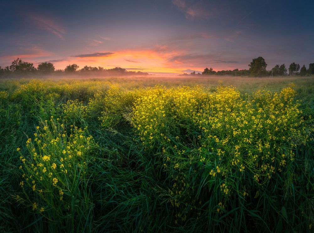 Photograph by Семён Кузнецов