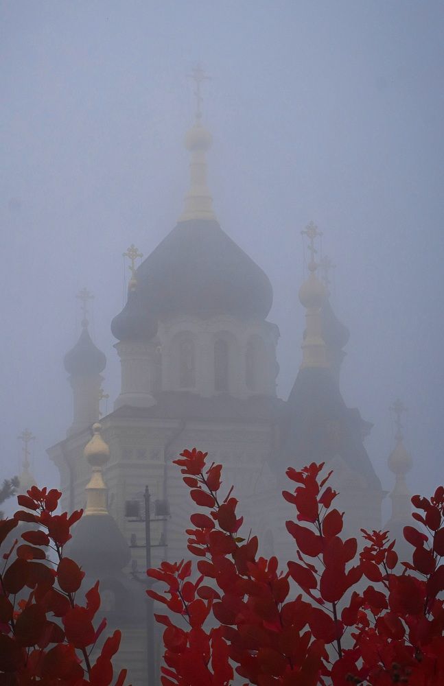 Photograph by Екатерина Гордеева