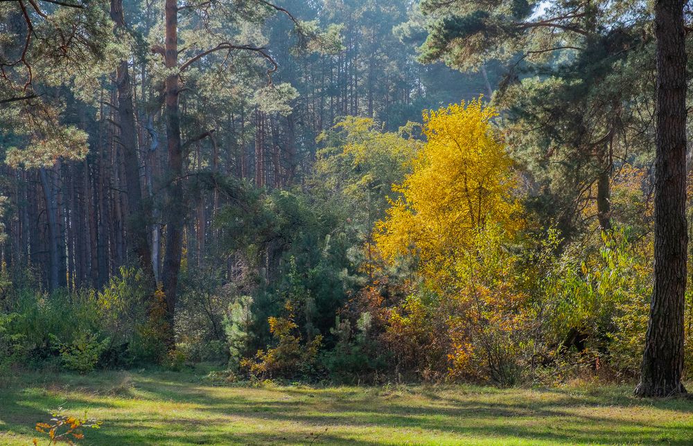 Photograph by Юрий Петруняк