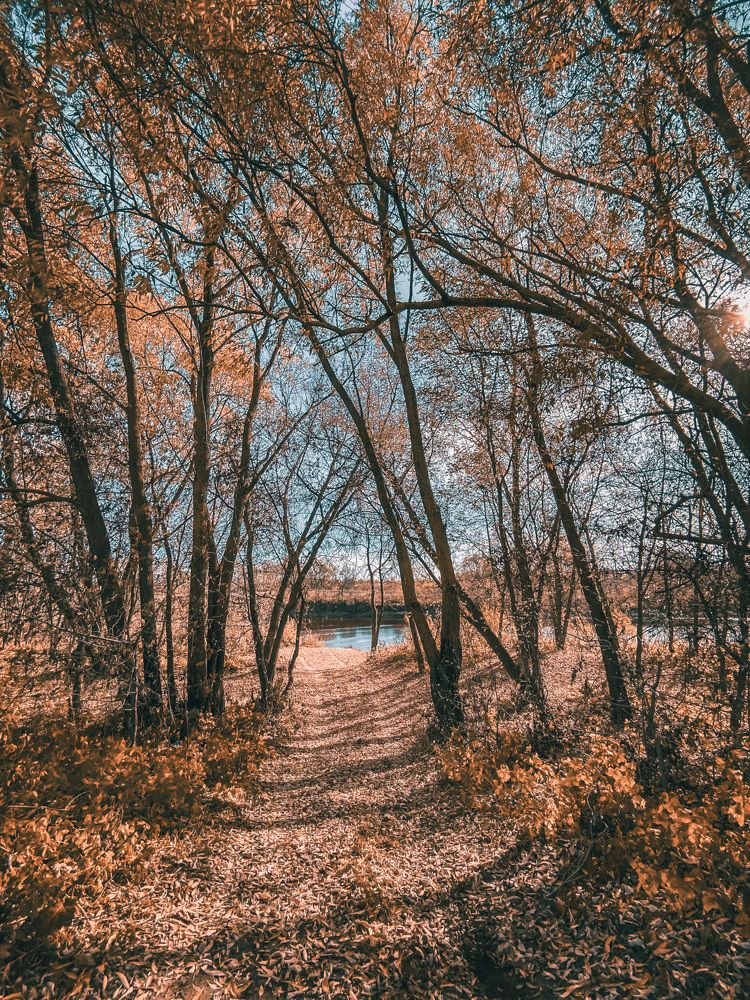 Photograph by Марина Урусова