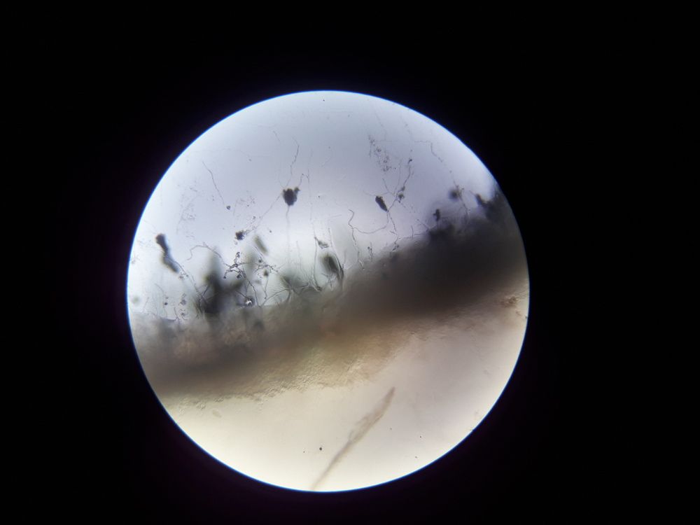 Photo #6617564