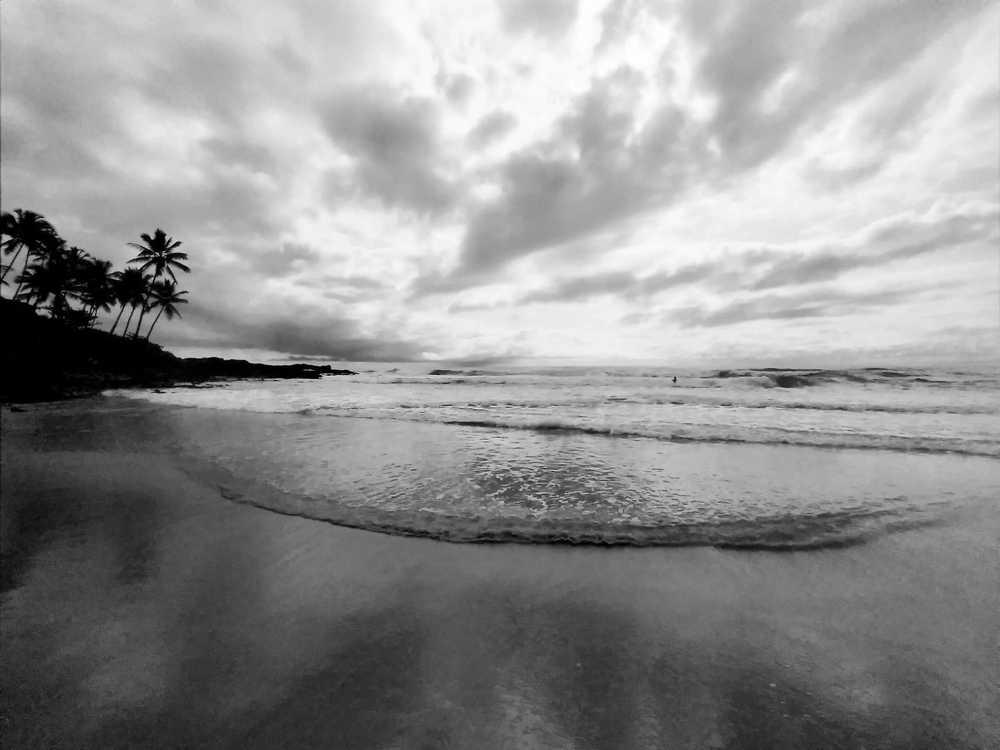 Photograph by PATRICIA JACINTO