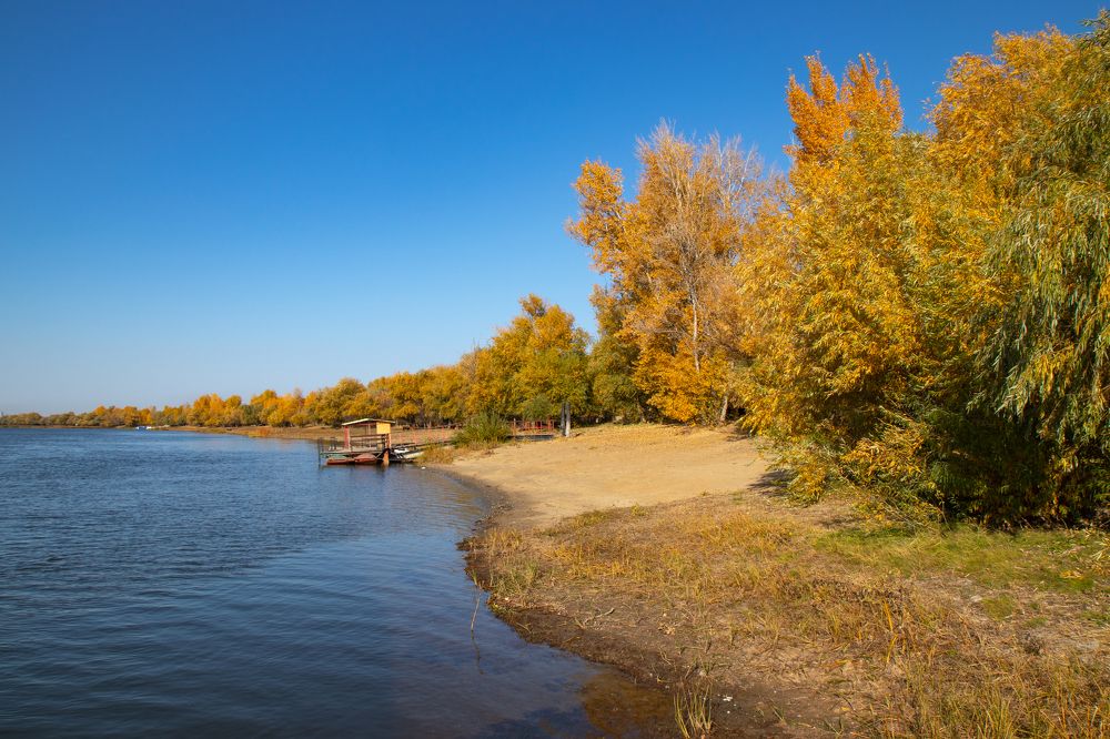 Photograph by Владимир Самосватов