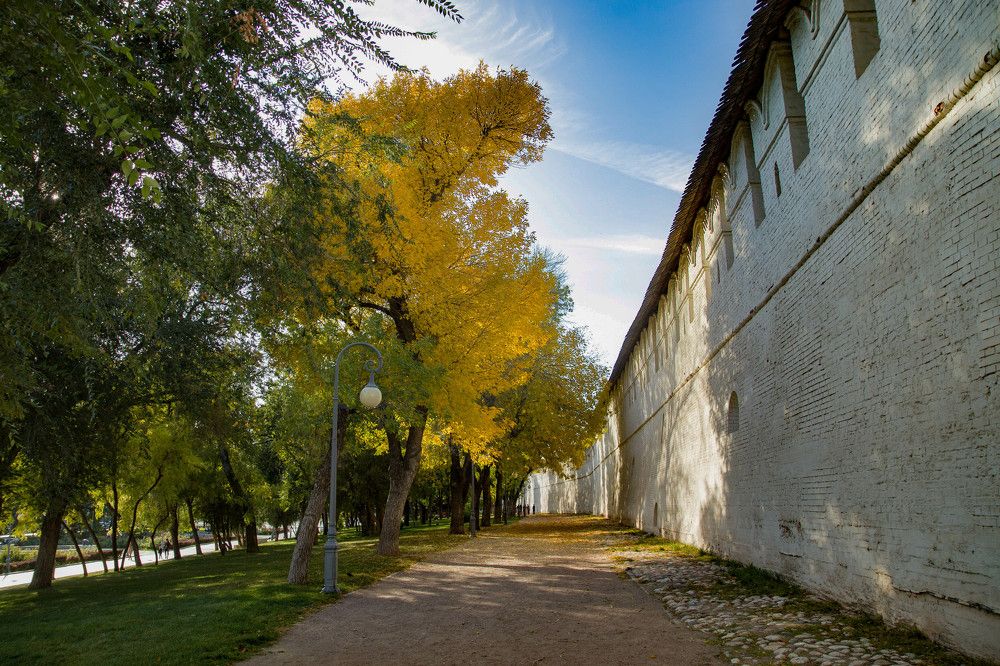 Photograph by Владимир Самосватов