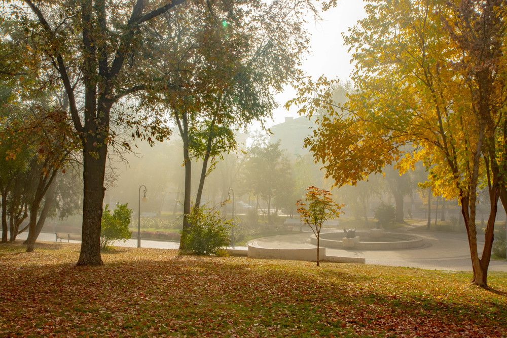 Photograph by Владимир Самосватов