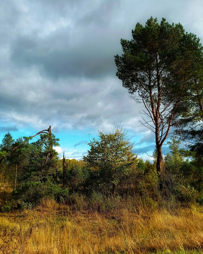 Photograph by Ирина Воробьева