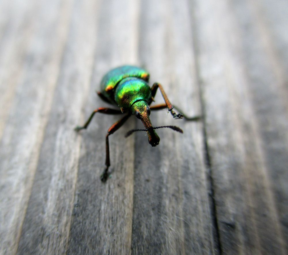 Photograph by Анастасия Старикова