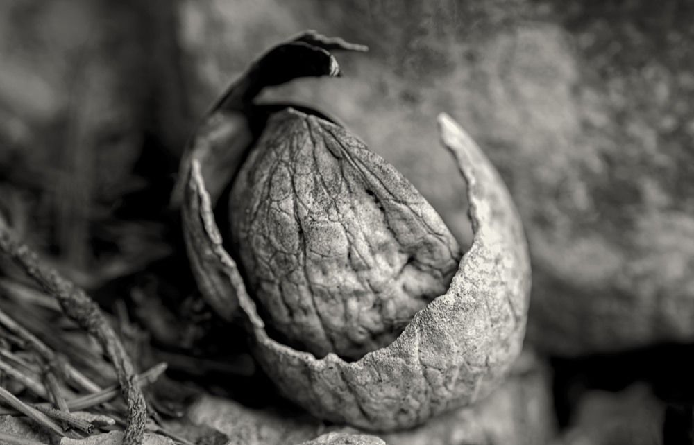 Photograph by Laima Kuriene