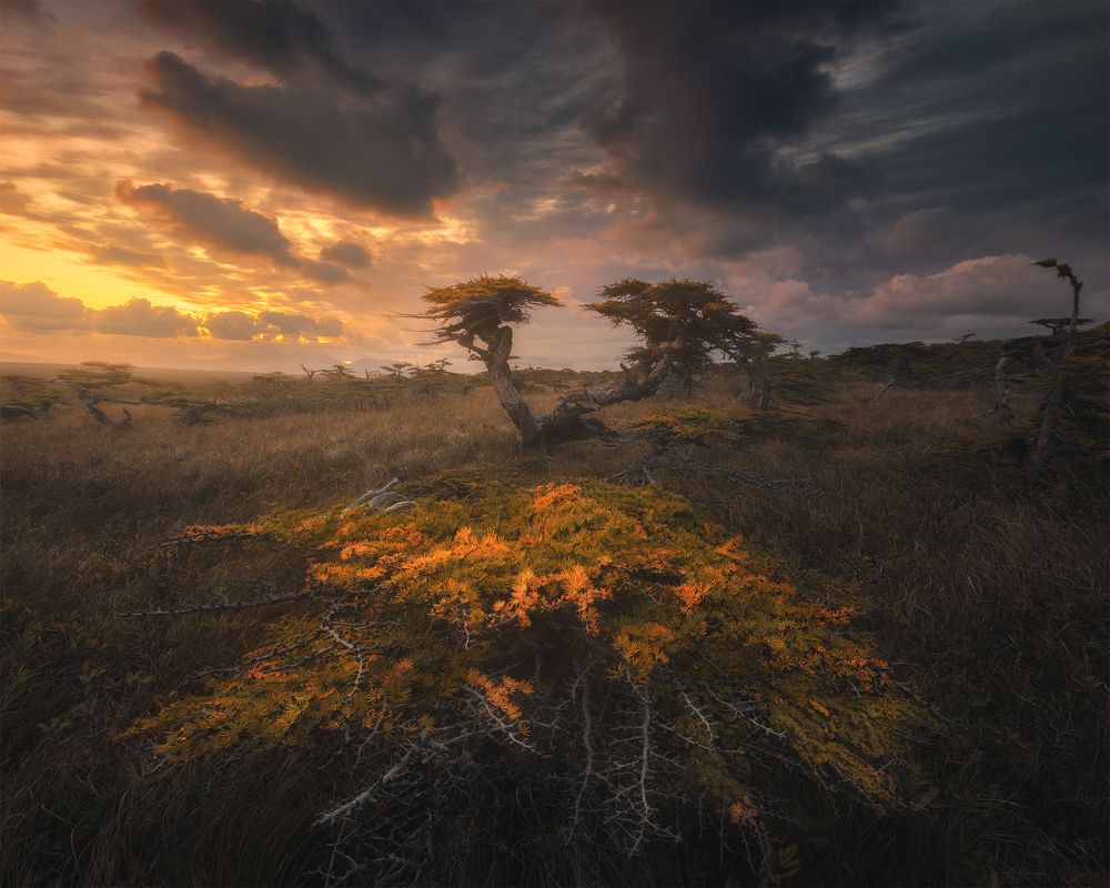 Photograph by Анна Политова