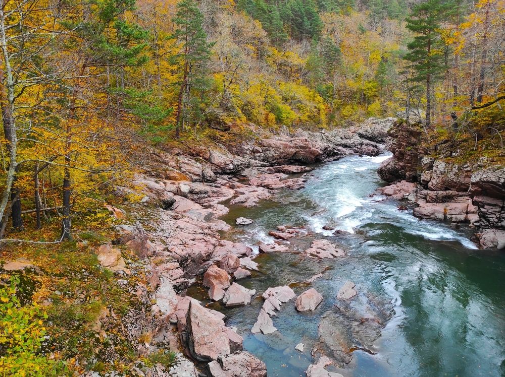 Photograph by Владимир Караман